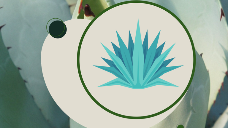 Todo sobre el foro “Por un futuro sostenible del mezcal en Durango: Voces desde la ciencia, el campo y el Congreso”